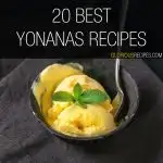 Yonanas Recipes