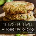 Puffball Mushroom Recipes