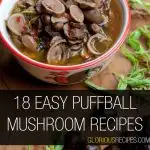 Puffball Mushroom Recipes