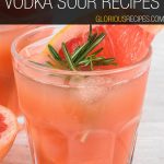 Vodka Sour Recipes
