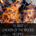 Chicken of the Woods Recipes