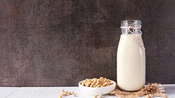 Homemade Soy Milk with Almond Cow Recipe