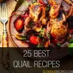 Quail Recipes