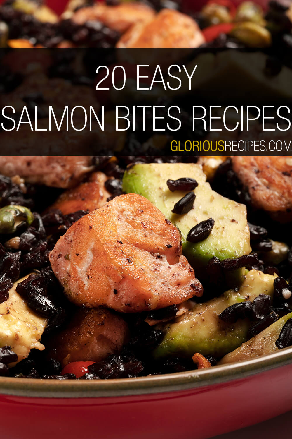 20 Easy Salmon Bites Recipes To Try