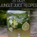 Jungle Juice Recipes