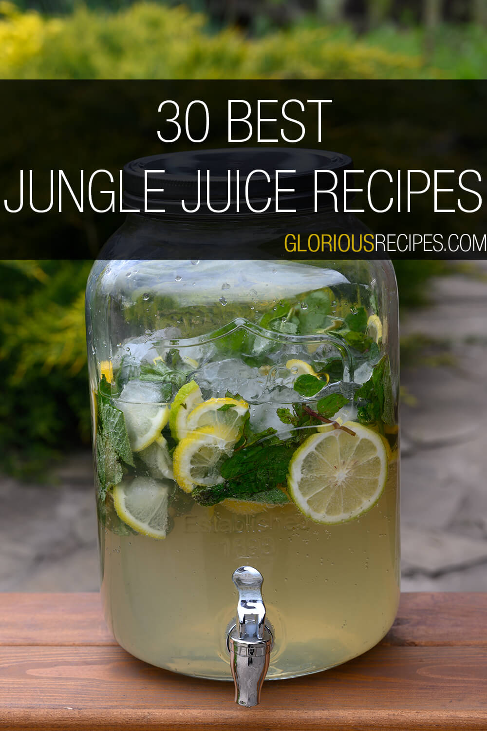 30 Best Jungle Juice Recipes To Try