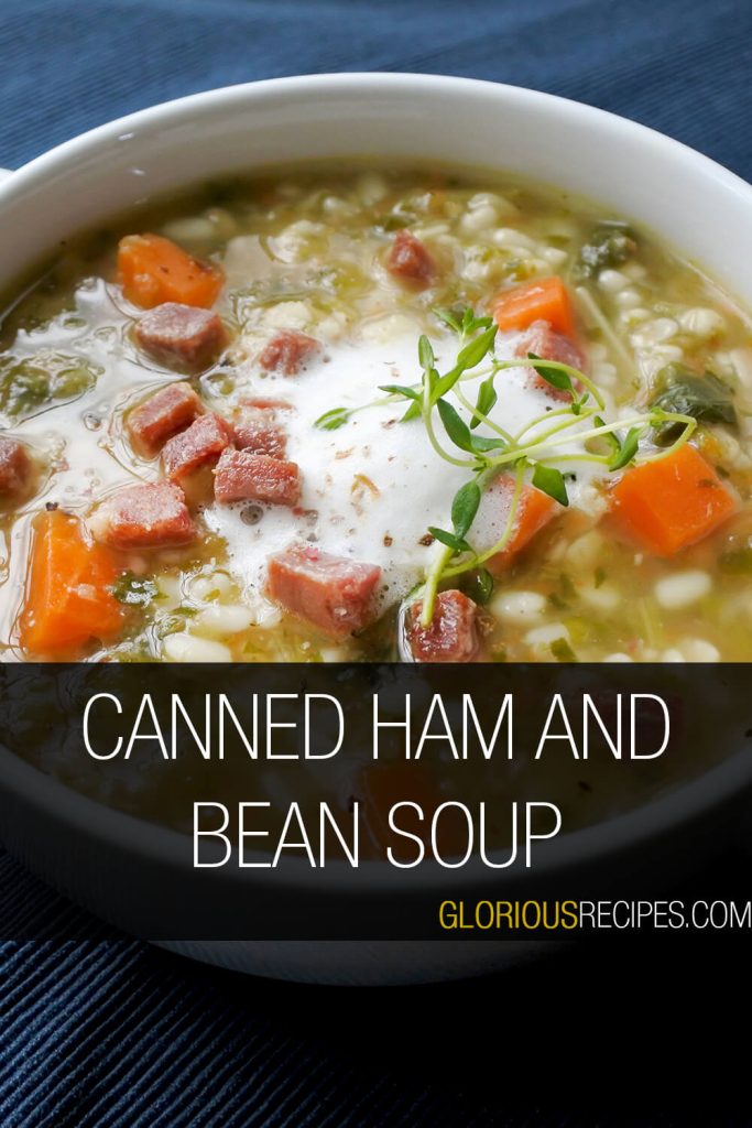 22 Amazing Canned Ham Recipes To Try