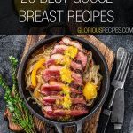 Goose Breast Recipes