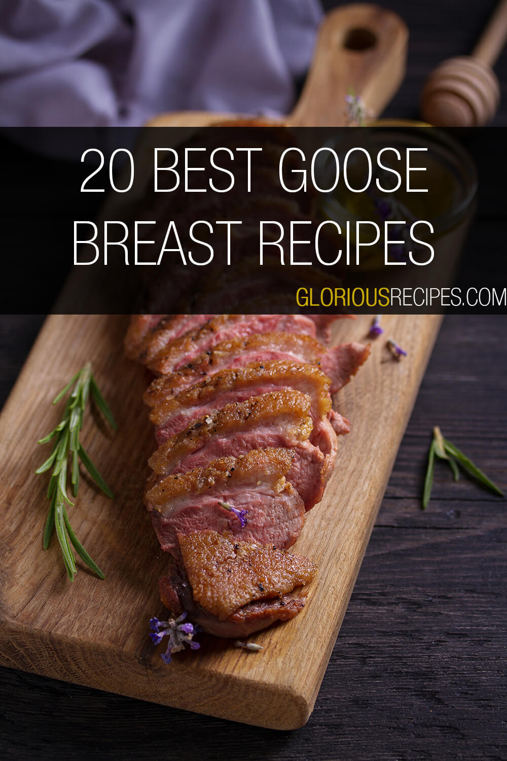 20 Best Goose Breast Recipes To Try