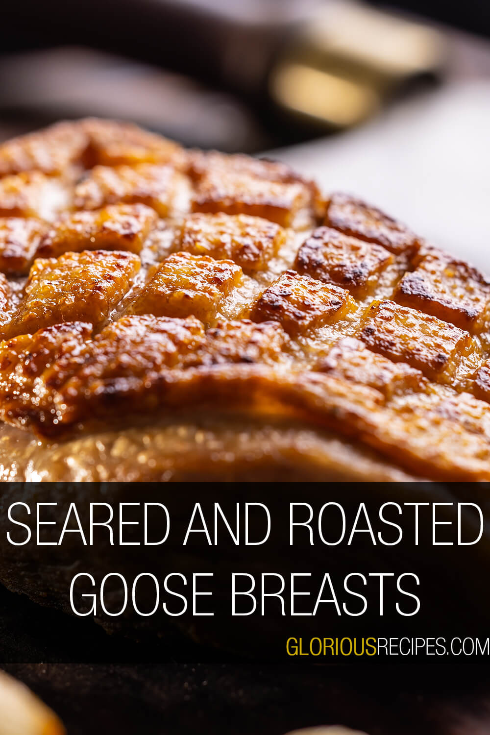 20 Best Goose Breast Recipes To Try