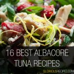 Albacore Tuna Recipes