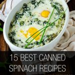 Canned Spinach Recipes