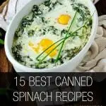 Canned Spinach Recipes