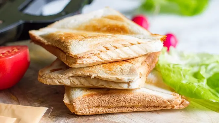 Sandwich Maker Recipes