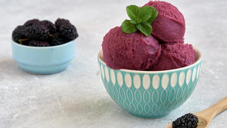 Easy Mulberry Sorbet Recipe