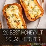 Honeynut Squash Recipes