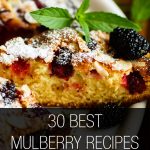 Mulberry Recipes