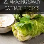 Savoy Cabbage Recipes