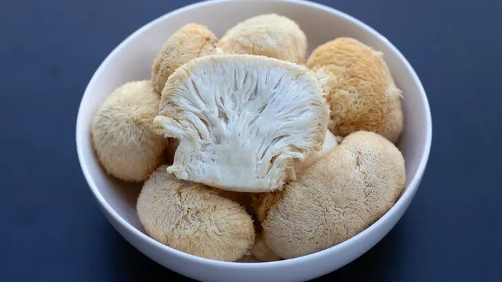 Lion's Mane Recipes