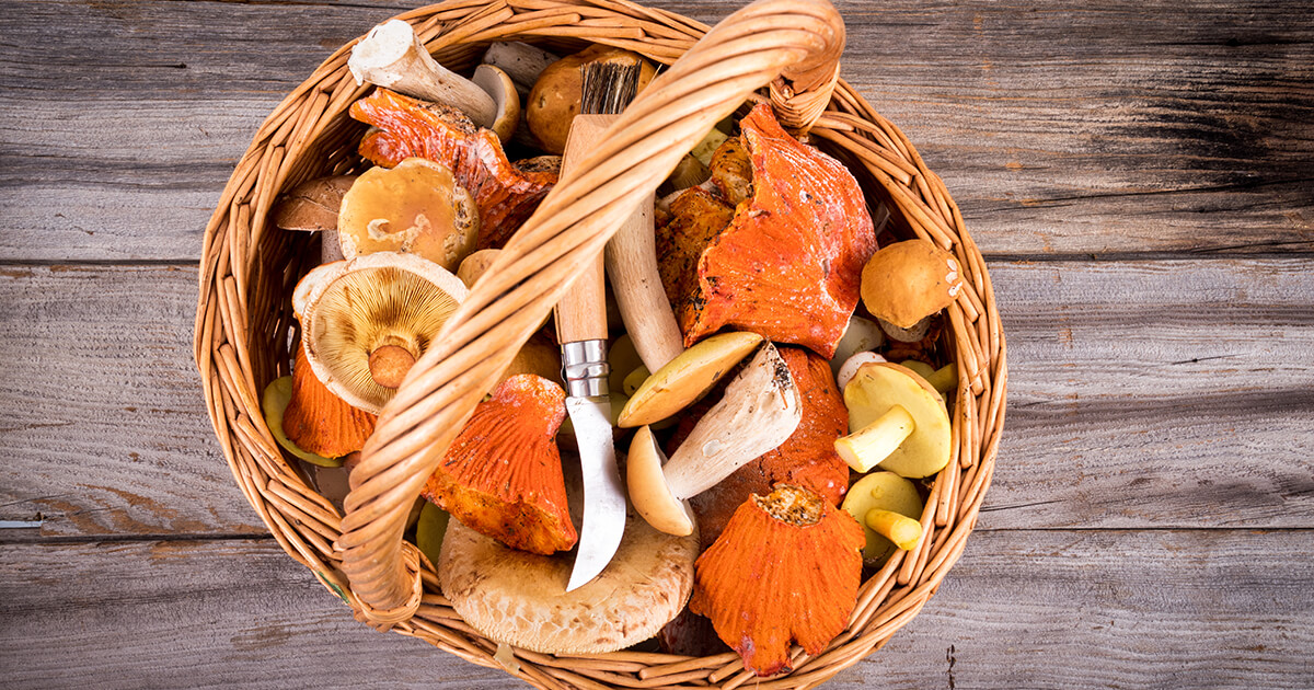 18 Best Lobster Mushroom Recipes To Try