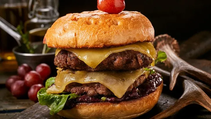 Venison Burger Recipes